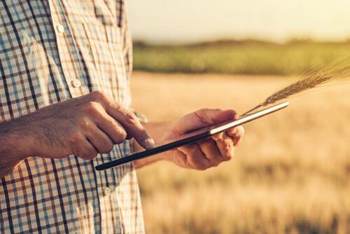 Cabinet recrutement agriculture Cabinet recrutement agriculture