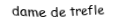 Je suis une carte. Je suis entre le valet et le roi, je suis noir mais pas de pique.